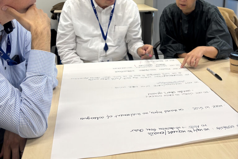 A participant’s experience: a tailor-made workshop to support a team’s development